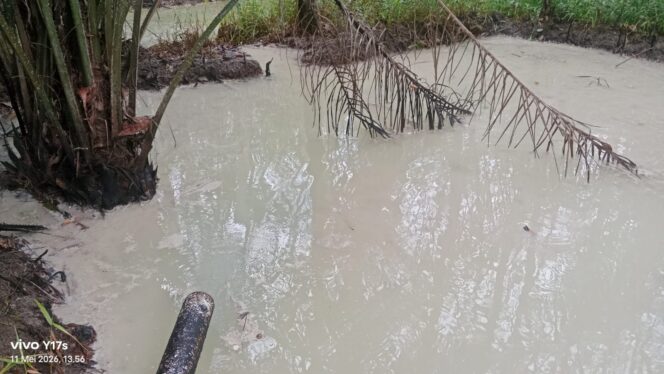 
					Limbah Dapur MBG Kagungan Ratu 2 Mengalir ke Area Rawa, Warga Resah Bau Menyengat Saat Musim Hujan