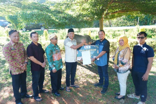 
					Pemkab Tubaba Serahkan 2 Ekor Sapi Qurban untuk Insan Pers, Pererat Sinergi Pemerintah dan Media
